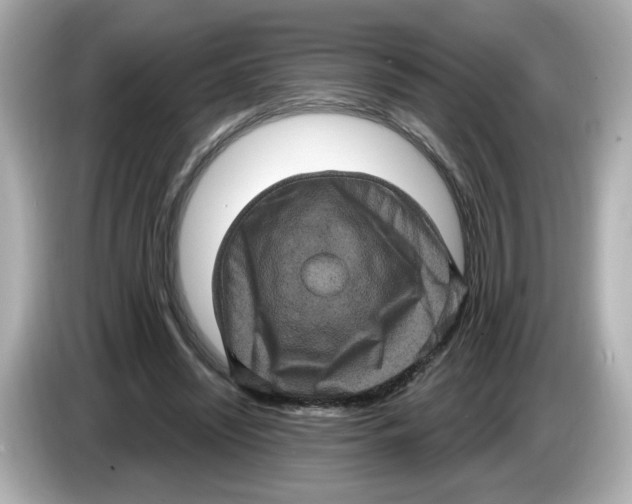 X0000085760444200704091337