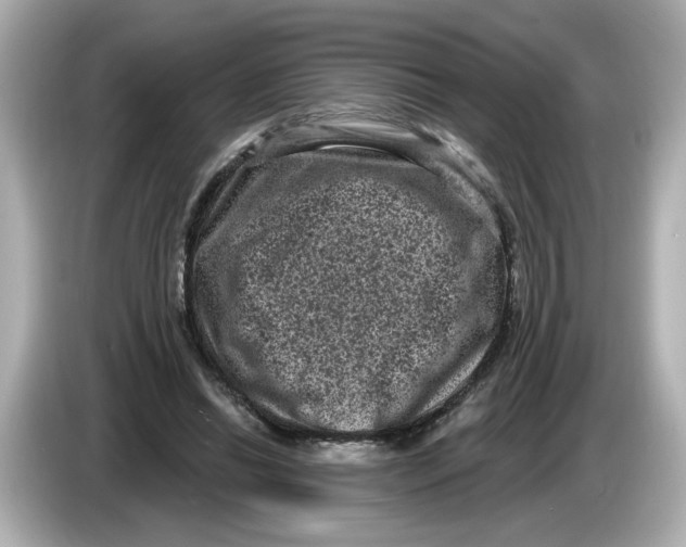 X0000085760446200704091337