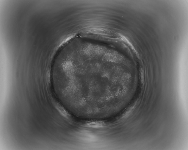 X0000085760447200704091337