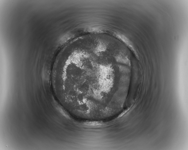 X0000085760449200704091337