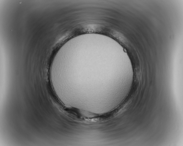 X0000085760450200704091337