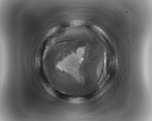 X0000085760452200704091337