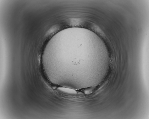 X0000085760454200704091337
