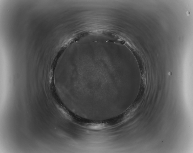 X0000085760458200704091337