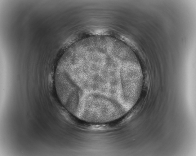 X0000085760461200704091337