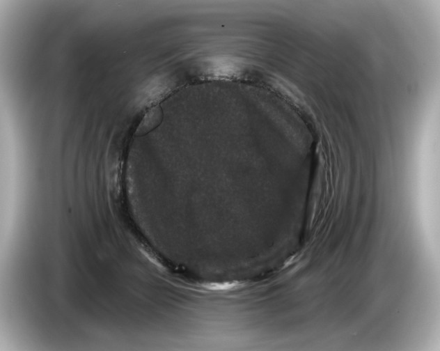 X0000085760462200704091337