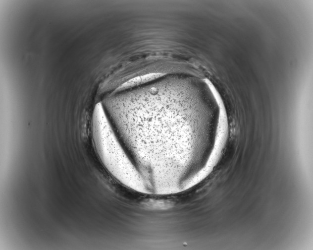 X0000085760464200704091337