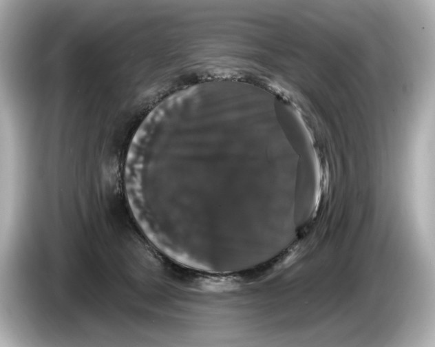X0000085760465200704091337