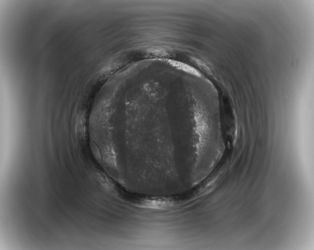 X0000085760466200704091337