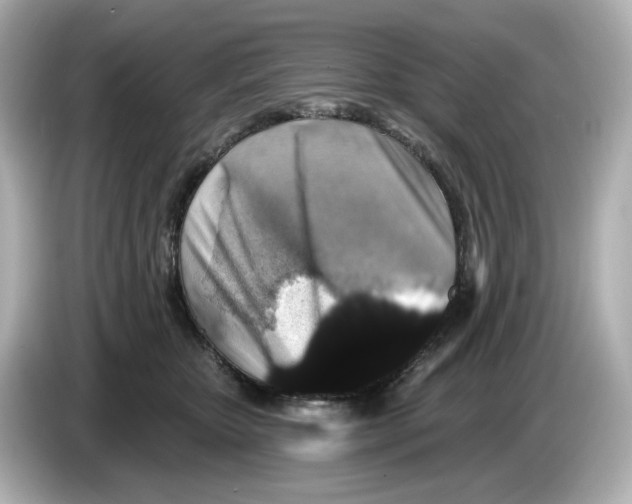 X0000085760467200704091337