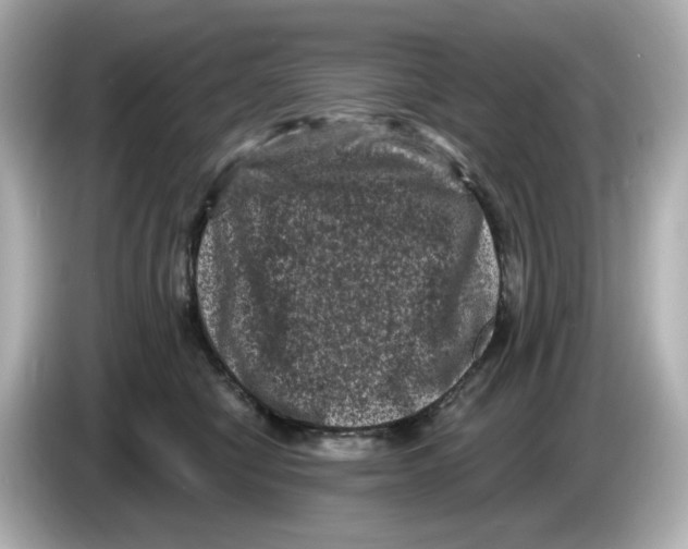 X0000085760470200704091337