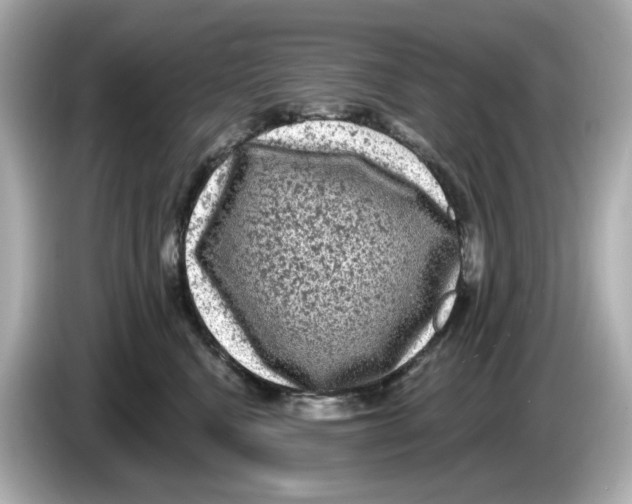 X0000085760472200704091337