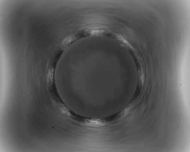 X0000085760475200704091337