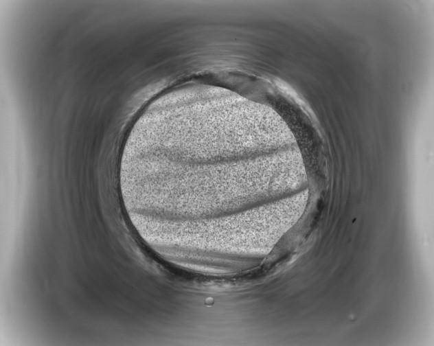X0000085760481200704091337