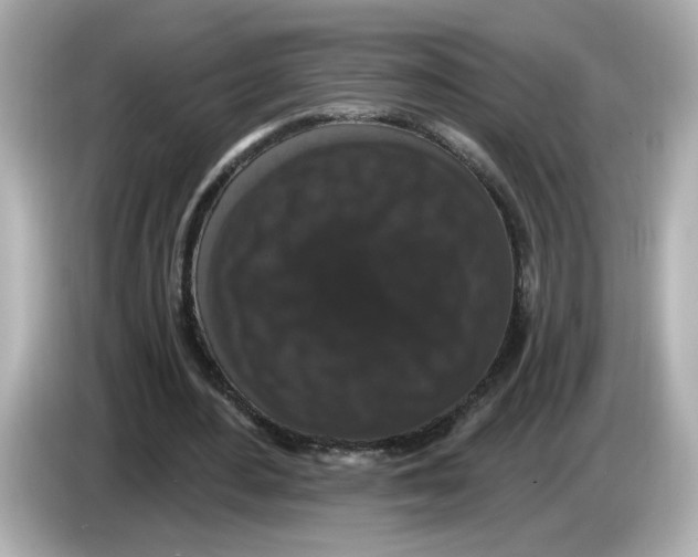 X0000085760484200704091337