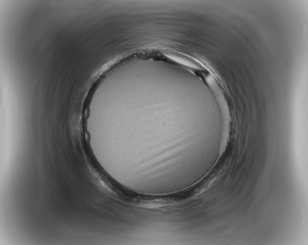 X0000085760485200704091337