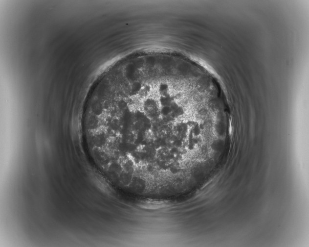 X0000085760487200704091337