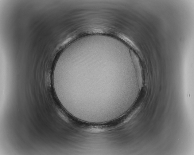 X0000085760489200704091337