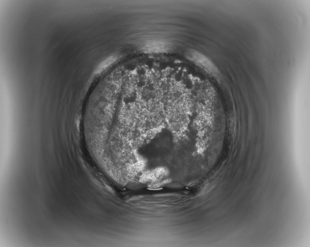 X0000085760491200704091337