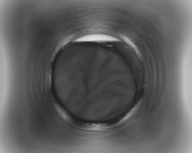 X0000085760493200704091337