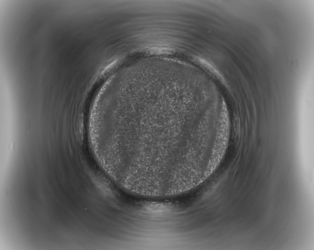 X0000085760494200704091337
