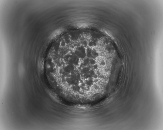 X0000085760495200704091337