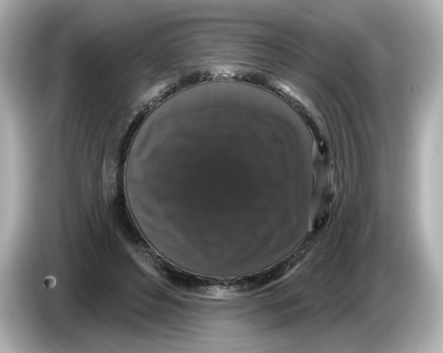 X0000085760496200704091337