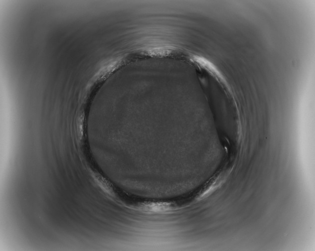 X0000085760501200704091337