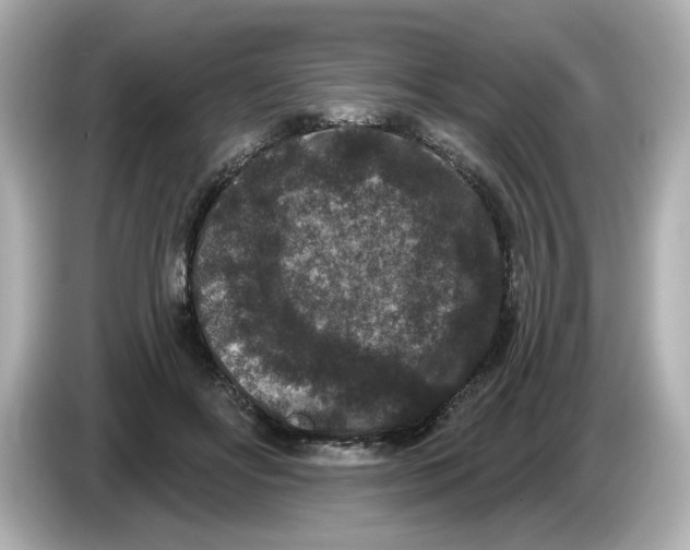 X0000085760502200704091337