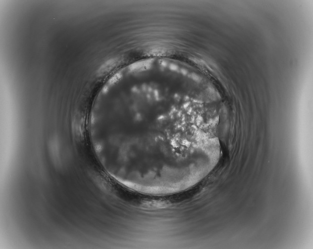 X0000085760503200704091337