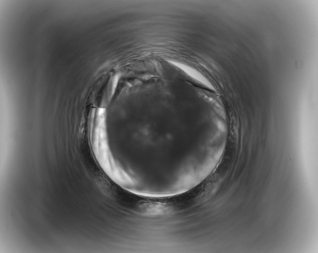 X0000085760507200704091337