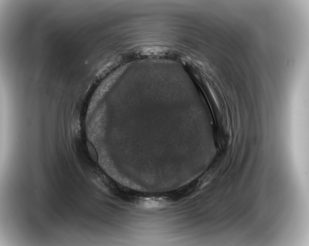 X0000085760508200704091337