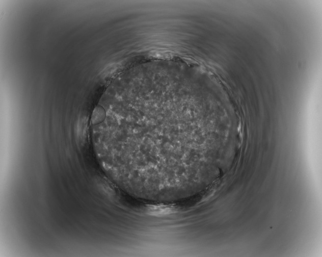 X0000085760511200704091337