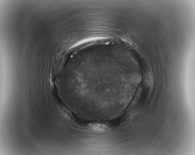 X0000085760512200704091337
