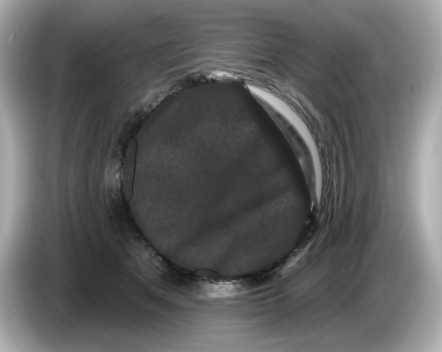 X0000085760513200704091337
