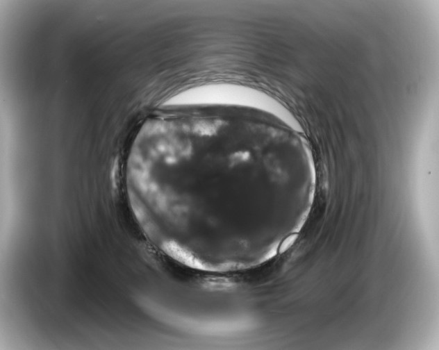 X0000085760519200704091337