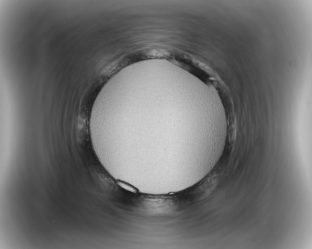 X0000085760521200704091337