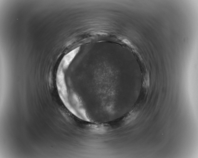 X0000085760524200704091336