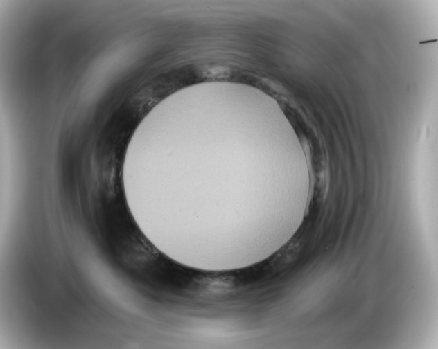 X0000085760525200704091336