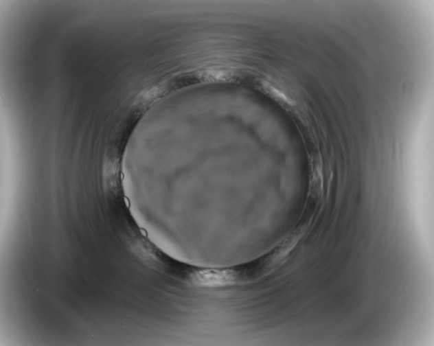 X0000085760526200704091336