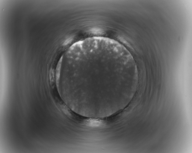 X0000085760528200704091336