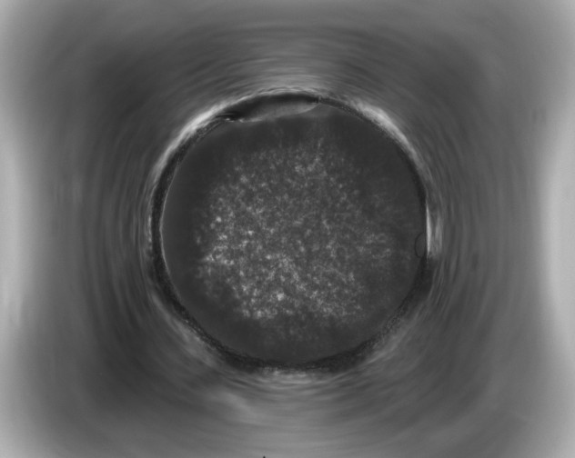 X0000085760531200704091336