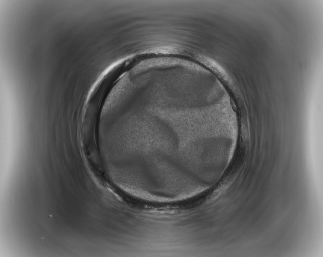 X0000085760532200704091336