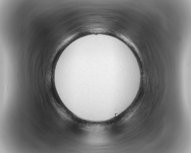X0000085760533200704091336
