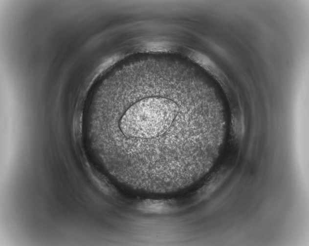 X0000085760534200704091336