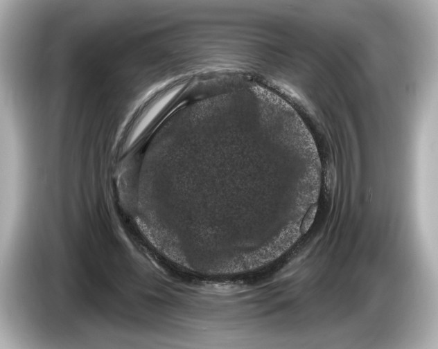 X0000085760540200704091336