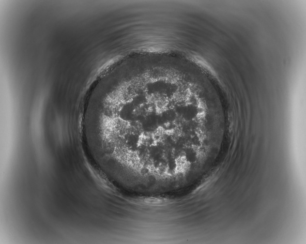 X0000085760542200704091336