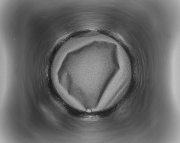 X0000085760543200704091336