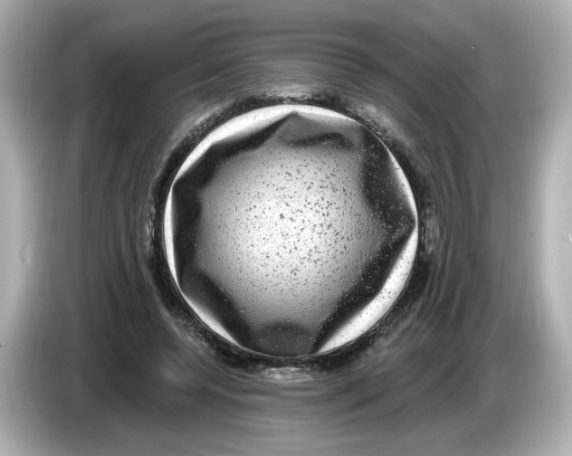 X0000085760544200704091336