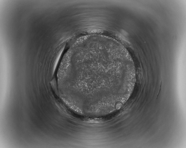 X0000085760550200704091336